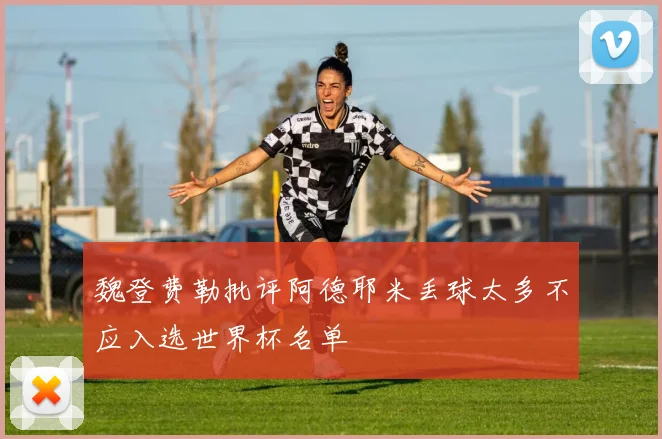 魏登费勒批评阿德耶米丢球太多不应入选世界杯名单